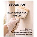 Ebook transmission des savoirs faire chaux