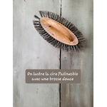 brosse douce pour faire briller la cire