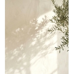 peinture de chaux blanc doré blanc coquillage