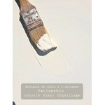 badigeon de chaux Blanc Coquillage