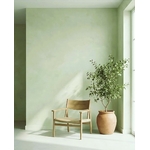 intérieur peint à la chaux vert clair