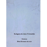 Peinture pour rénovation mur pierre - Badigeon bleu brumes du soir