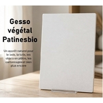 gesso naturel pour bois