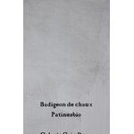 badigeon  gris doux rendu