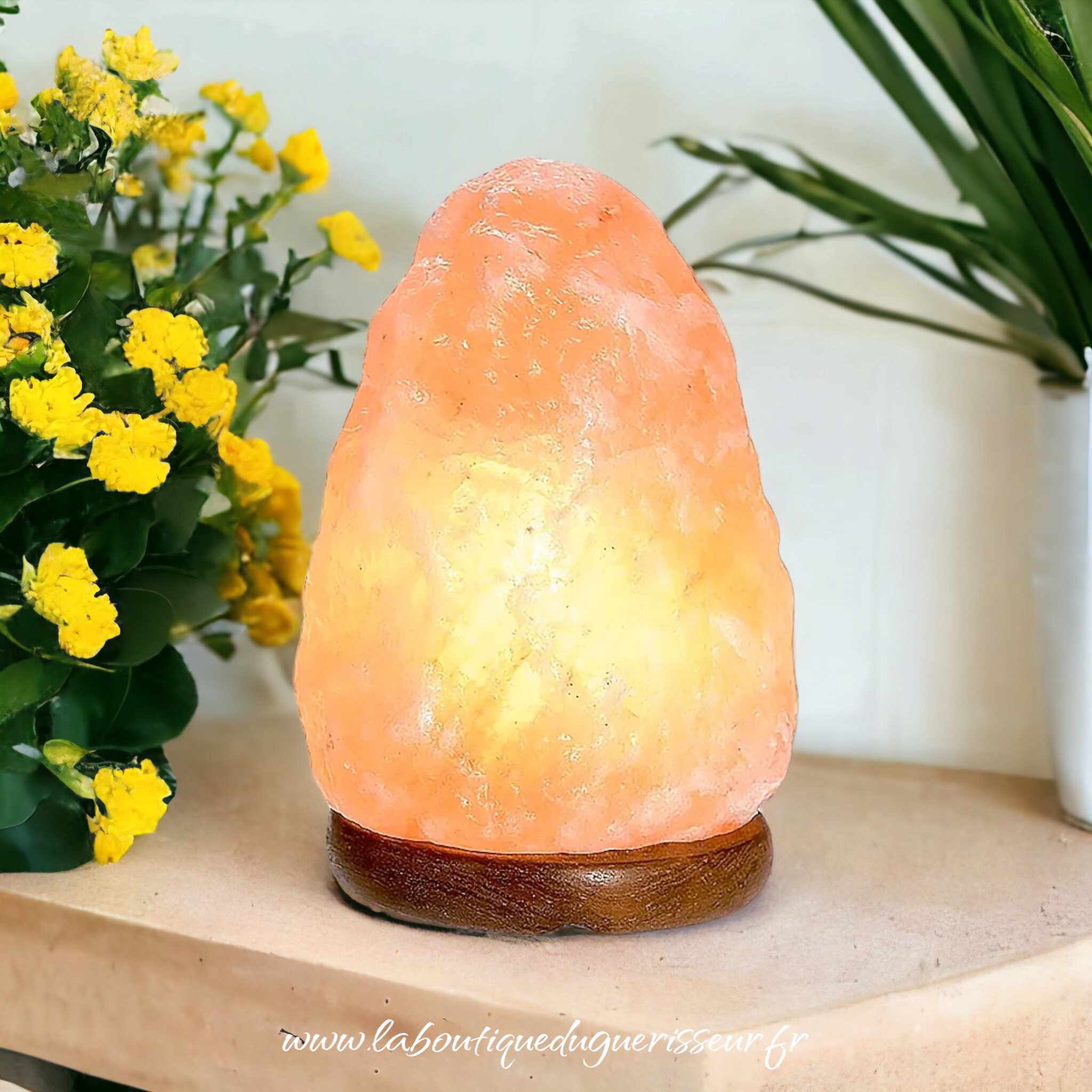 Lampe en Cristal de Sel ROSE de l\'Himalaya LED USB
