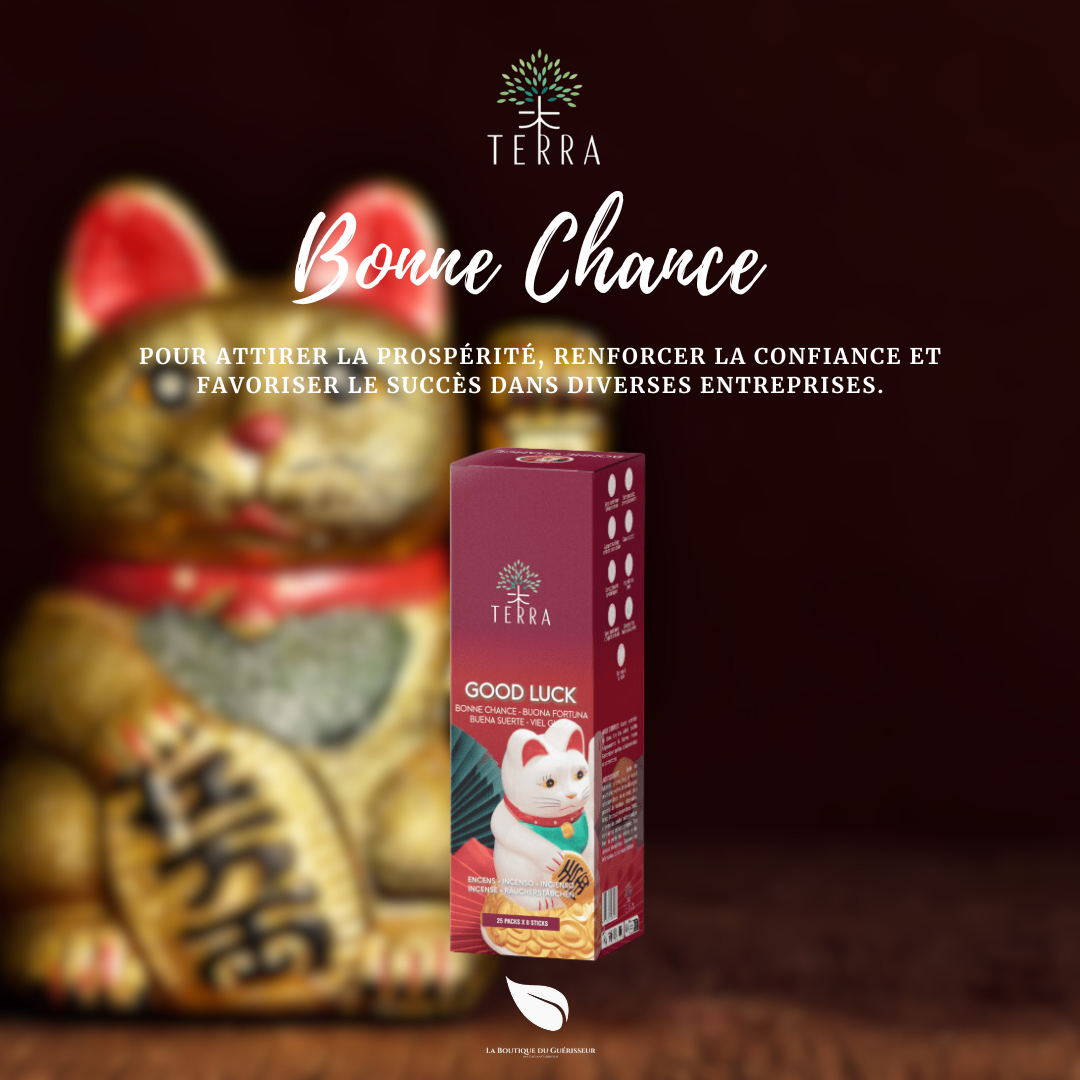 Encens TERRA - Bonne Chance