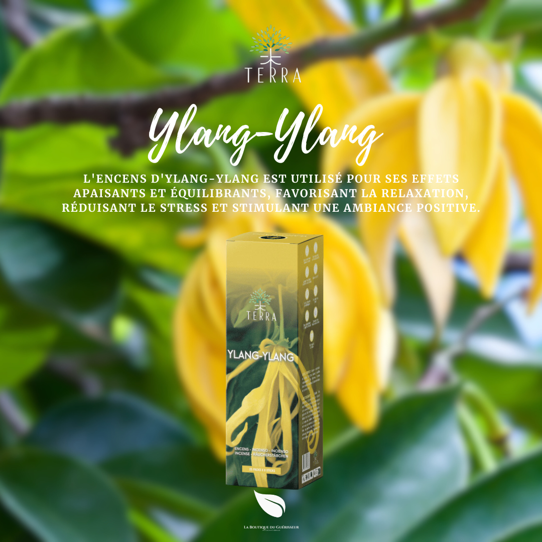 Encens TERRA - Ylang Ylang