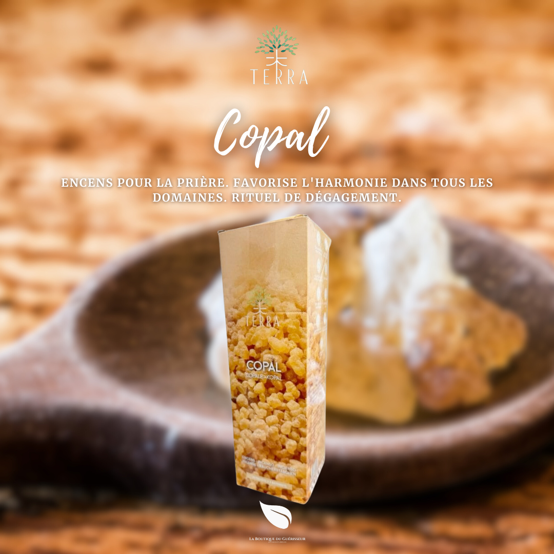 Encens TERRA - Copal
