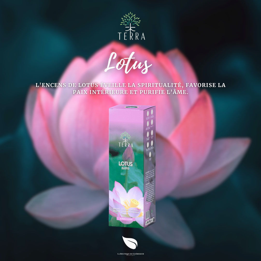 Encens TERRA - Lotus