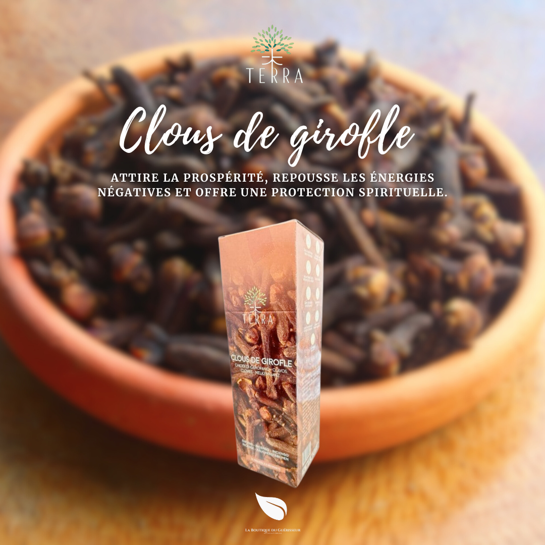 Encens TERRA - Clous de girofle