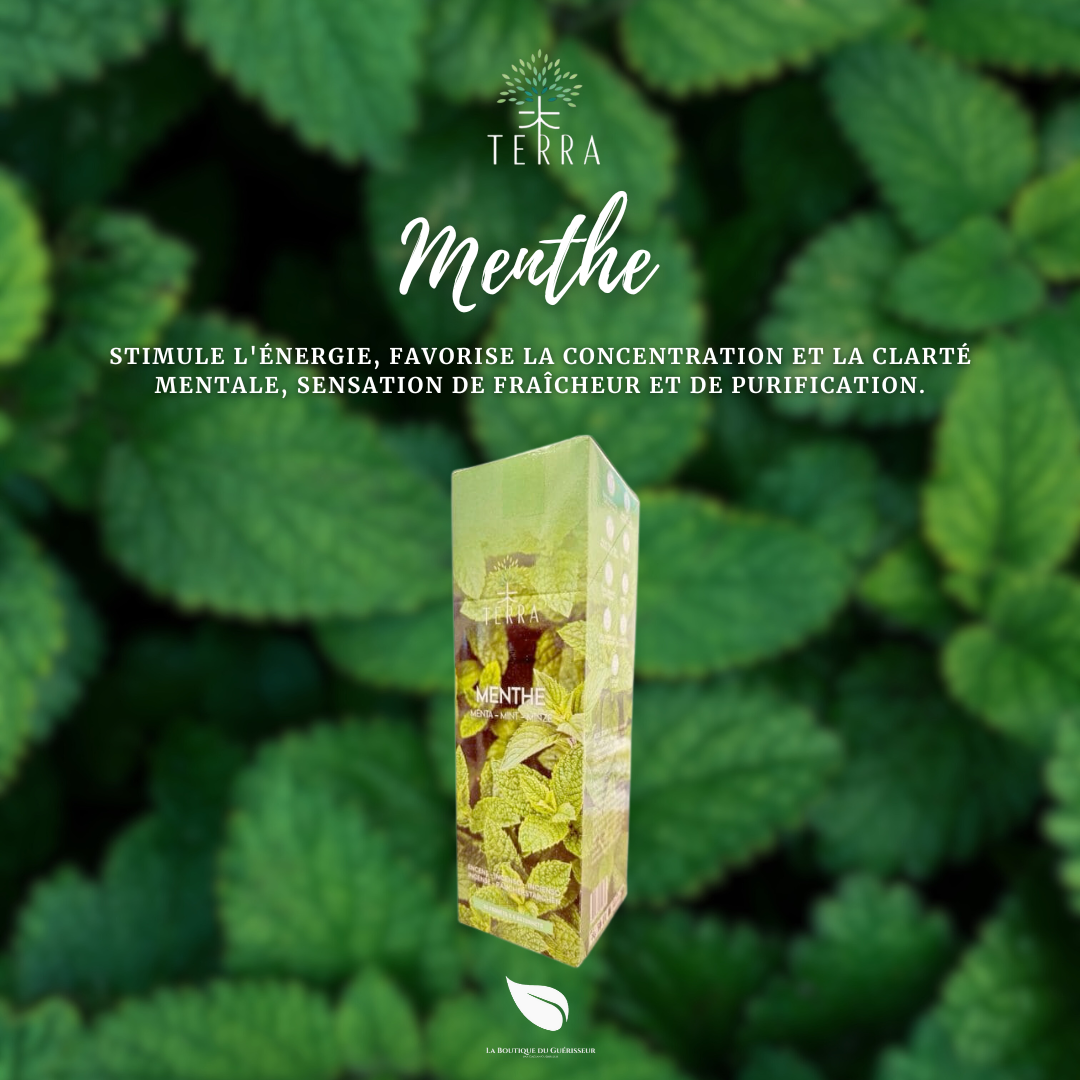 Encens TERRA - Menthe