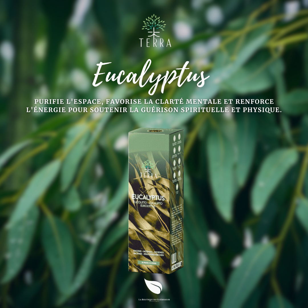 Encens TERRA - Eucalyptus