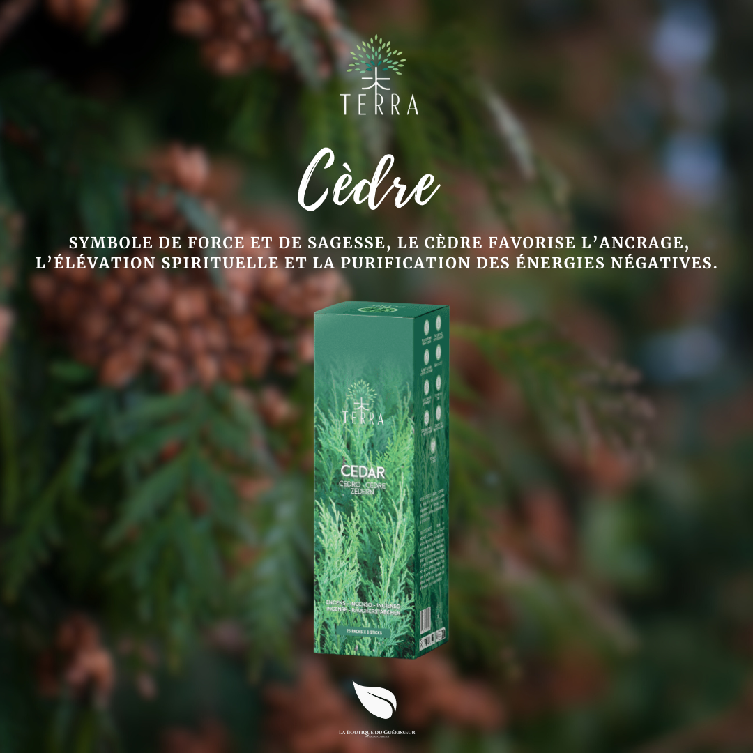 Encens TERRA - Cèdre
