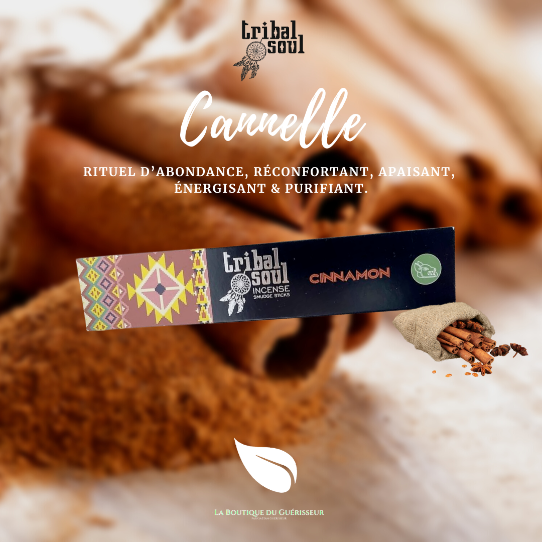 Encens TRIBAL SOUL - Cannelle