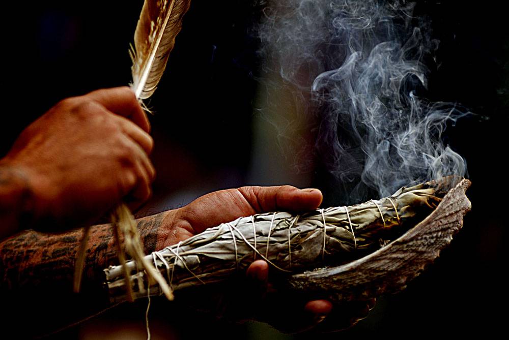 Sauge blanche feuilles pures Purification fumée parfum de maison fuman