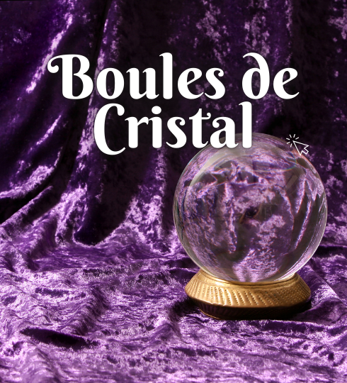 bouton 20258