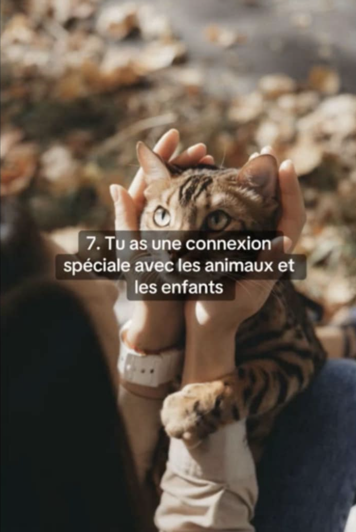 capture d ecran 2025 08 03 a 02 30 56