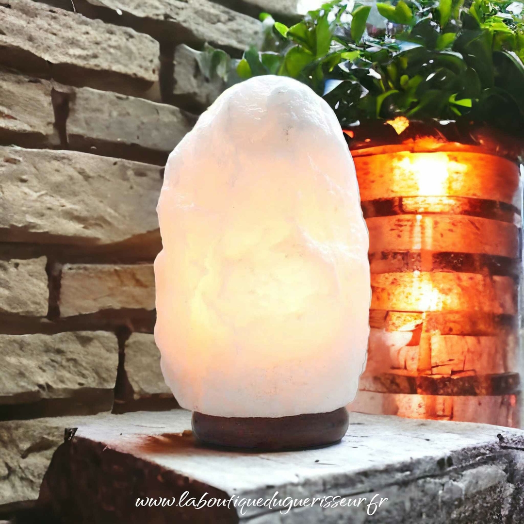 Ampoule pour lampe de sel x1 - Ambiance Zen et Feng Shui/Lampes de Sel de  l'himalaya - La Boutique du Guérisseur