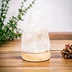 Lampe de sel l'himalaya forme brute 3kg avec cordon d'alimentation