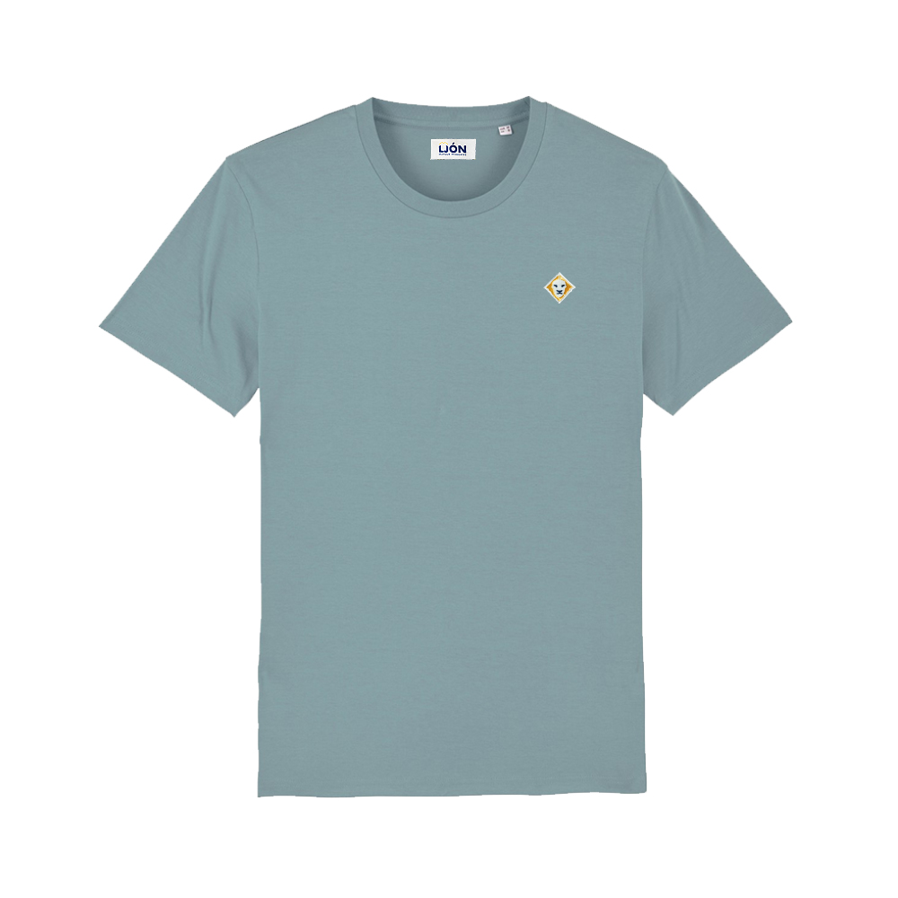 TS-H-BLUE(1)