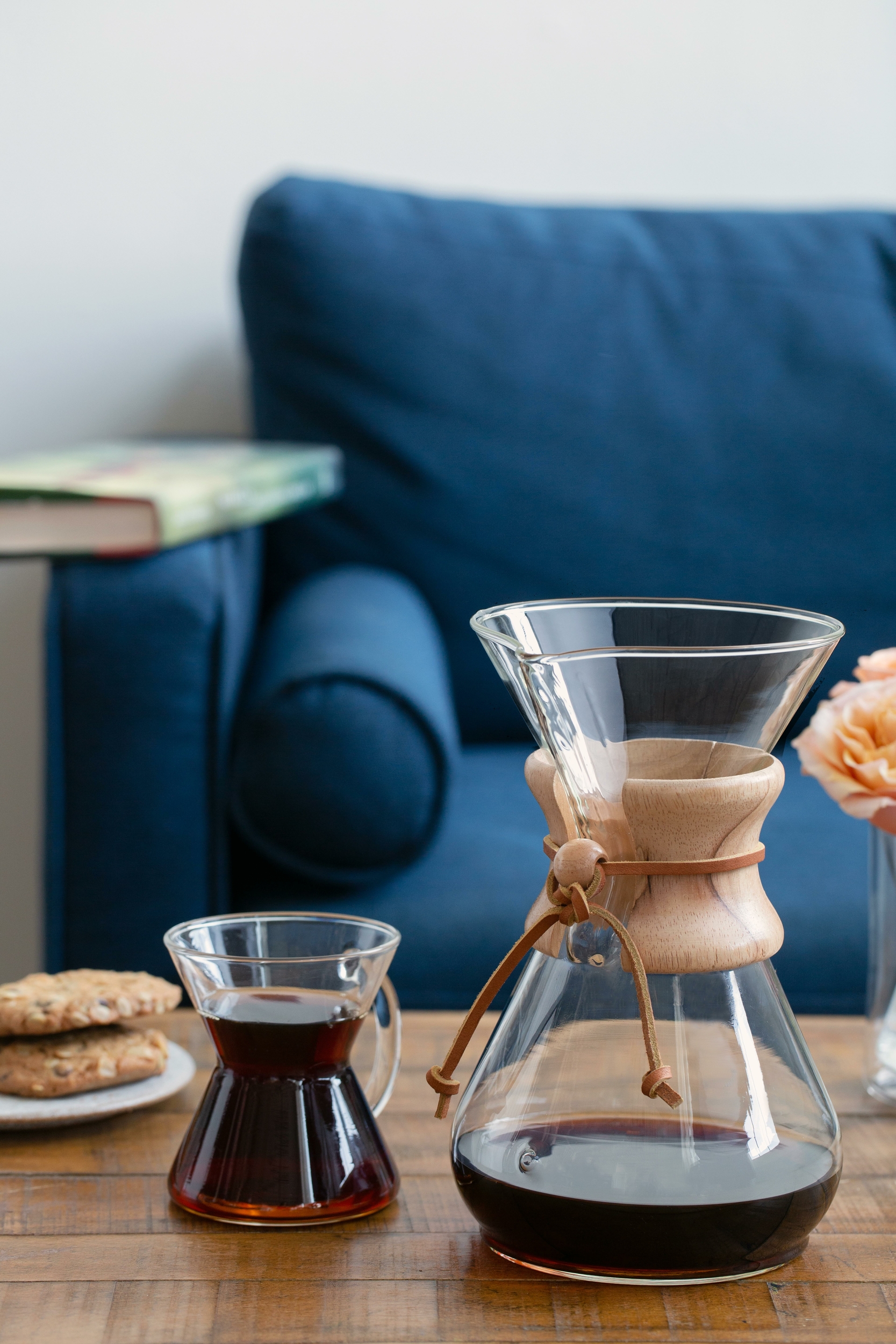 CHEMEX_CCM-1_CHEMEX_CM-10A_AMB