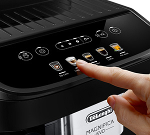 interface-magnifica-evo-feb2961b.jpg.pagespeed.ce.R_FXRm2iKy