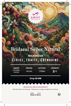 Micro-lots_Bridazul Super Natural