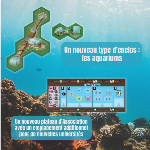 Screenshot 2024-08-02 at 17-46-42 ARK NOVA – Extension Mondes Marins – Neo Ludis