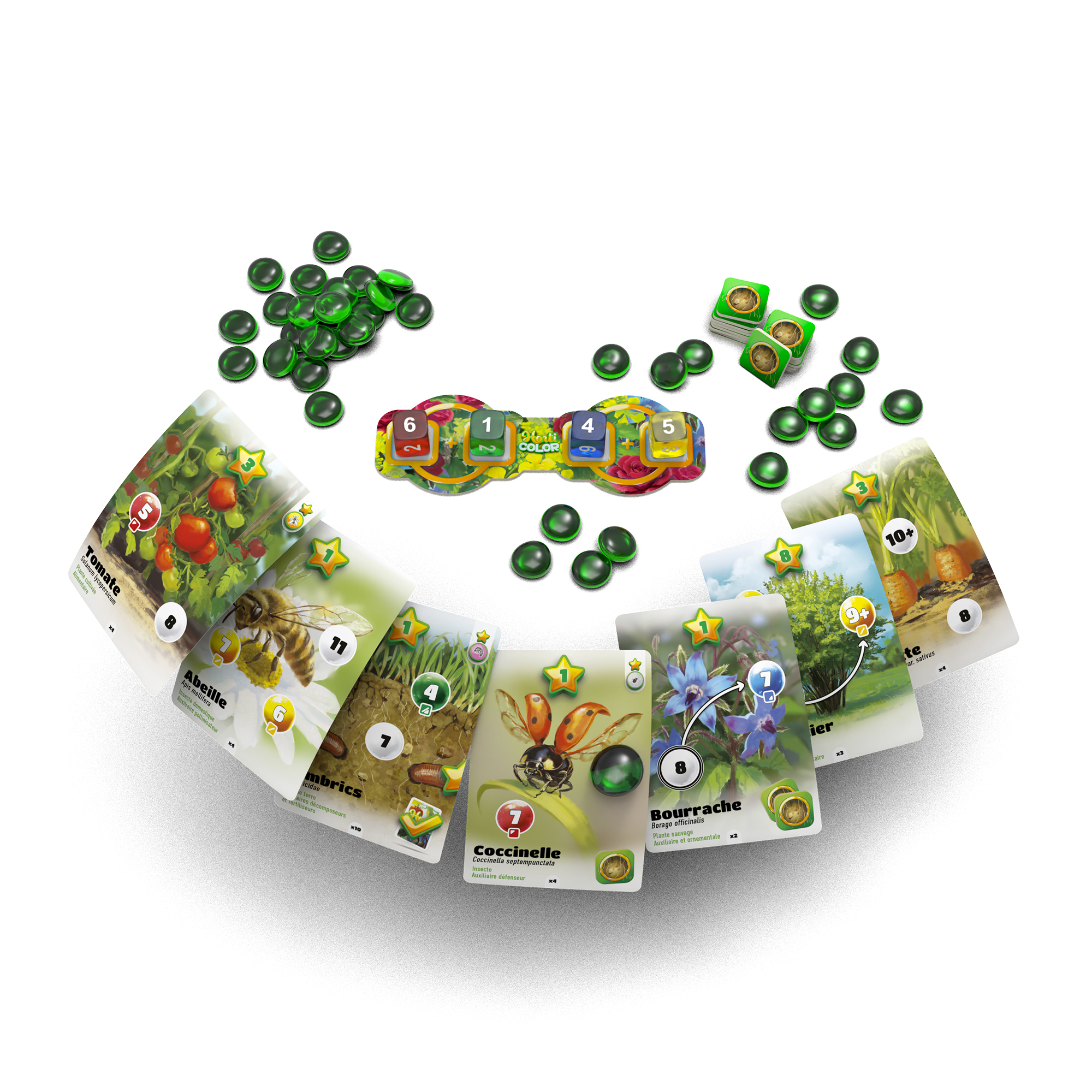 horticolor-98750-image-3