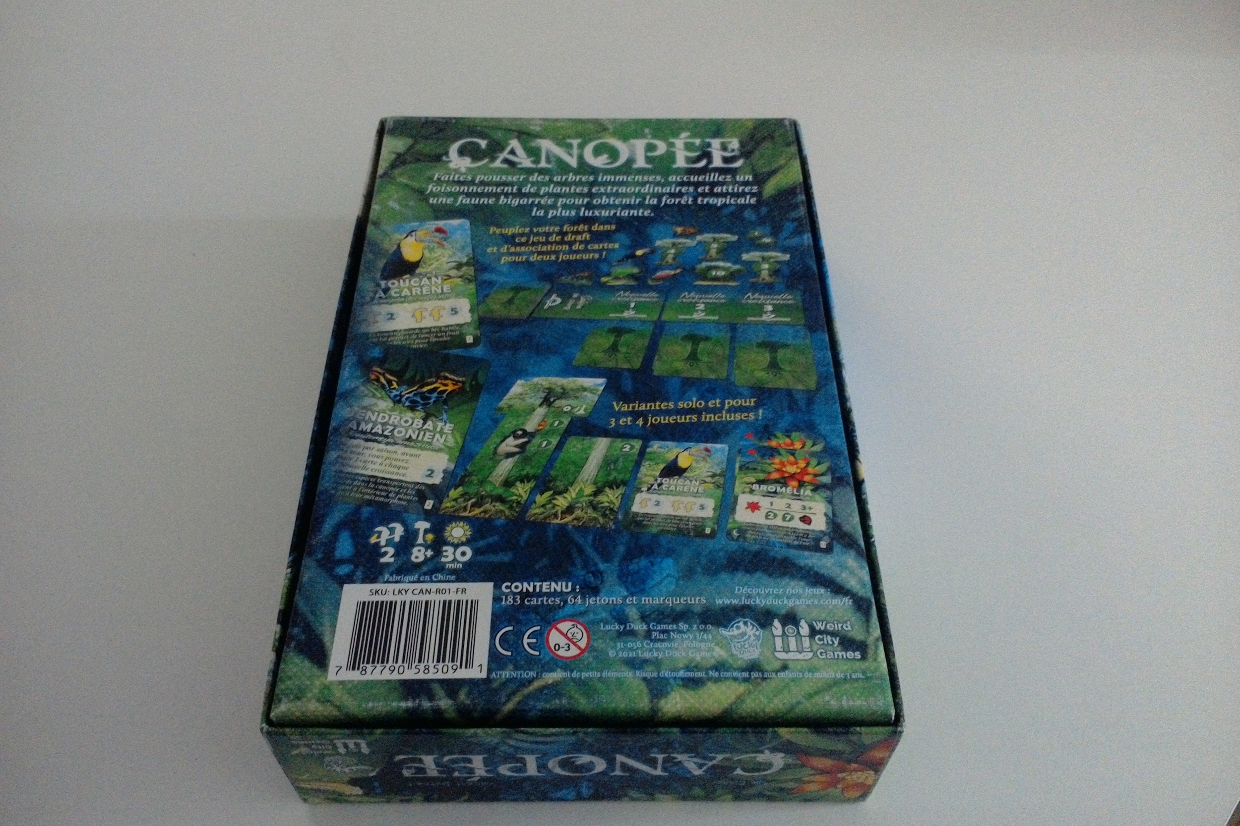 WIN_20250318_183522