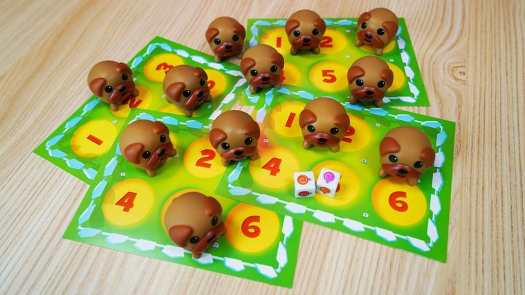DOGS1