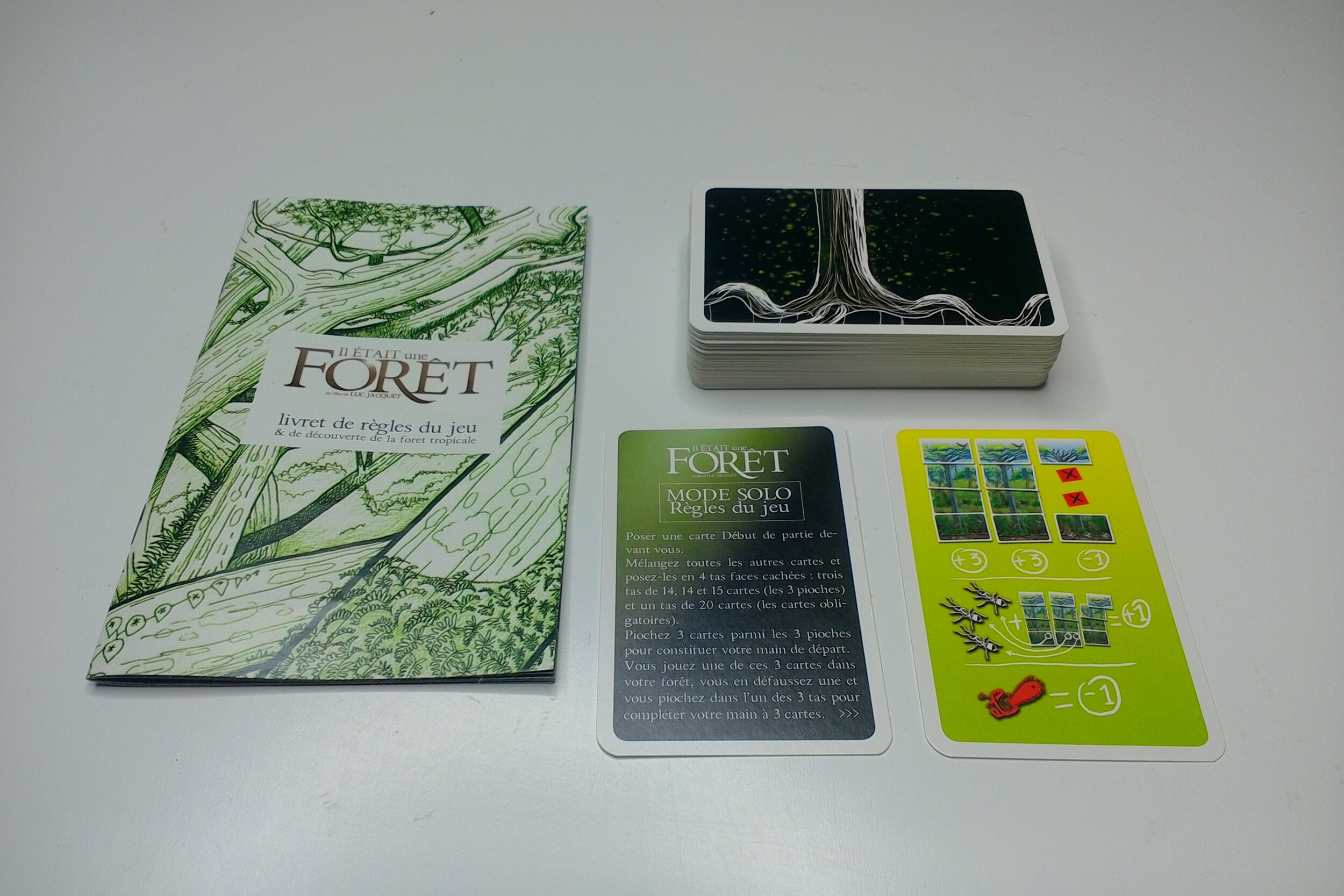 IL ETAIT UNE FORET