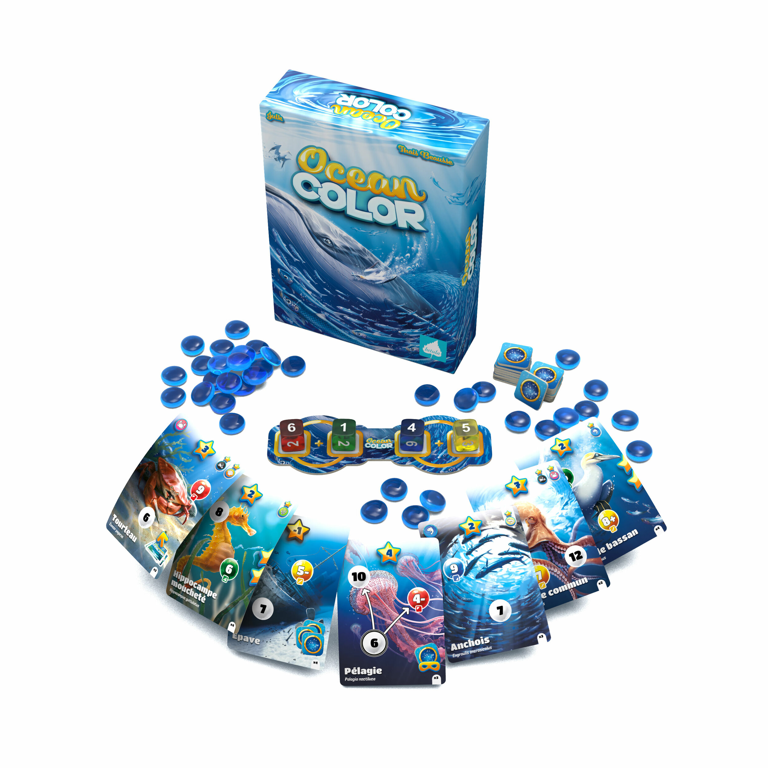 ocean-color-
