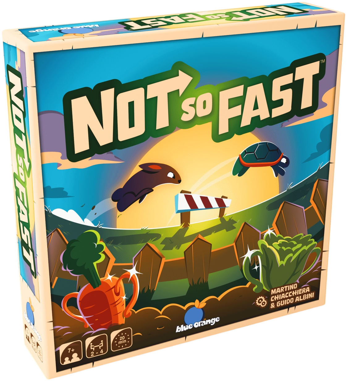 not-so-fast-