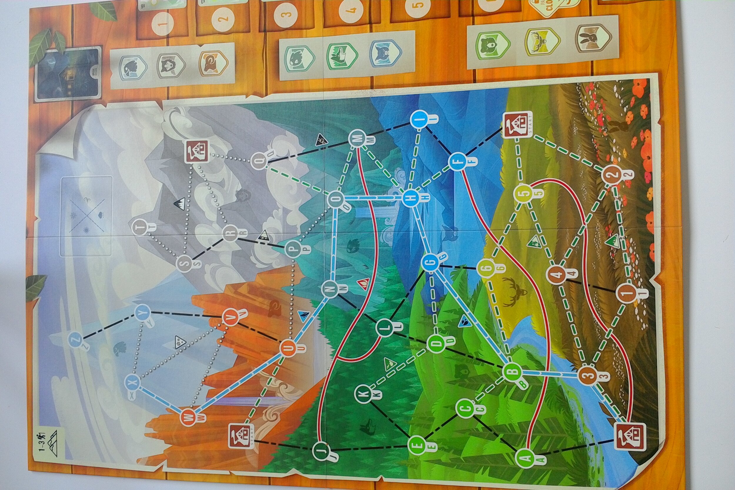 The Peak Team