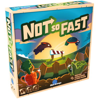 not-so-fast-