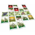 Pollen-éclaté-cartes-768x609