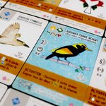 wingspan-fan-art-pack2