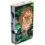 earth-regne-animal