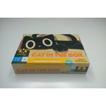 Cat in the Box