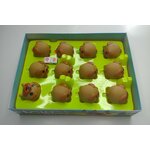 Lolly Dogs Location