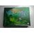 WIN_20260323_164602