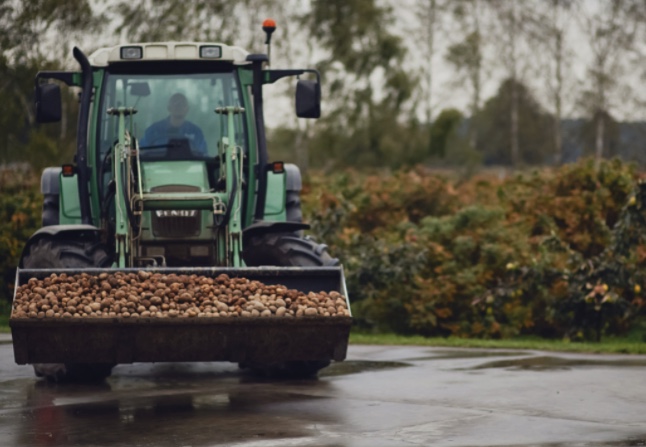 tracteur-et-pomme-de-terre-chopin-potato