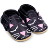 chat-noir-main900srvb