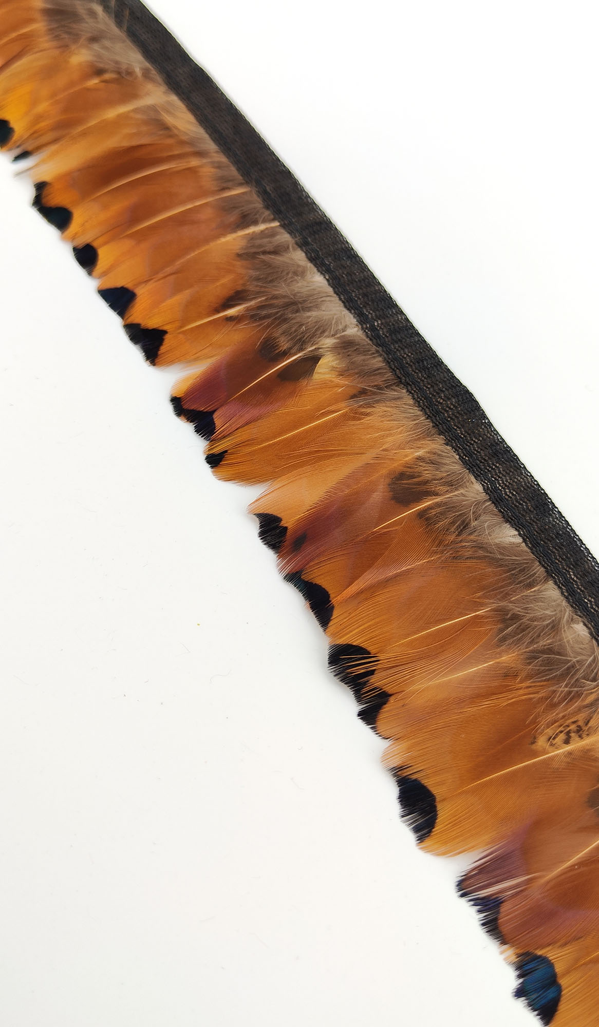 frange plume coeur faisan commun roux noir