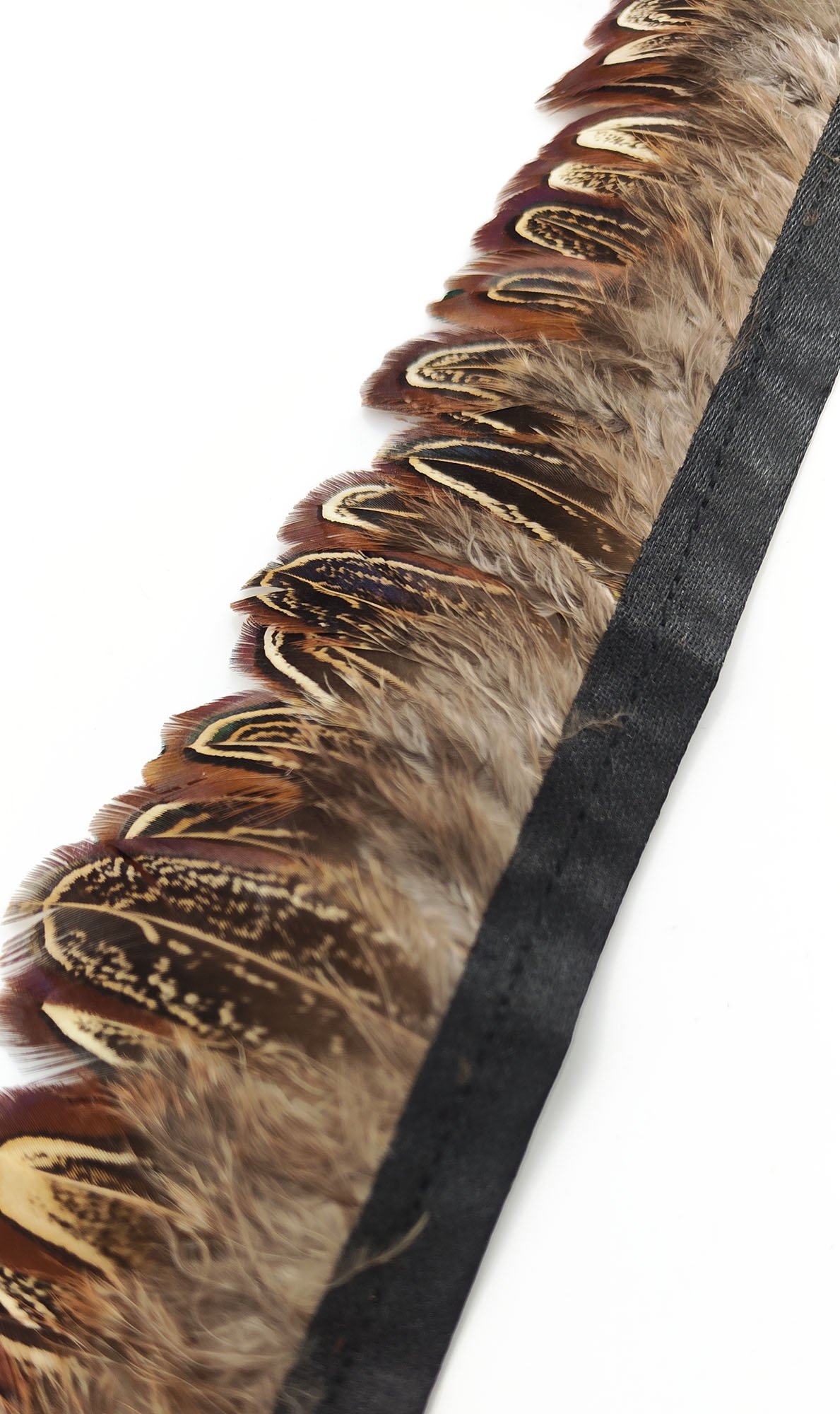 frange faisan commun plume marron de qualite