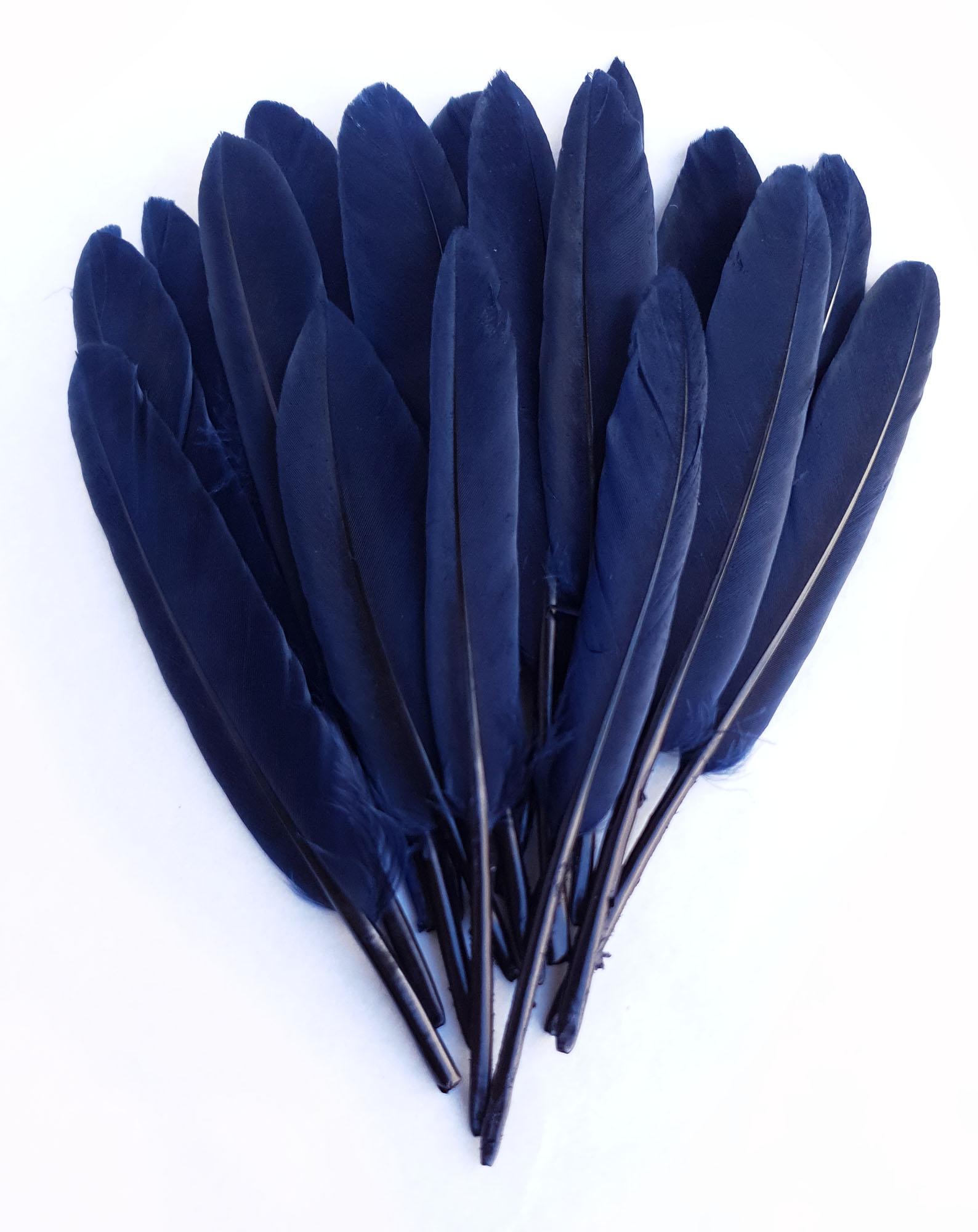 plume palette doie petite bleu fonce