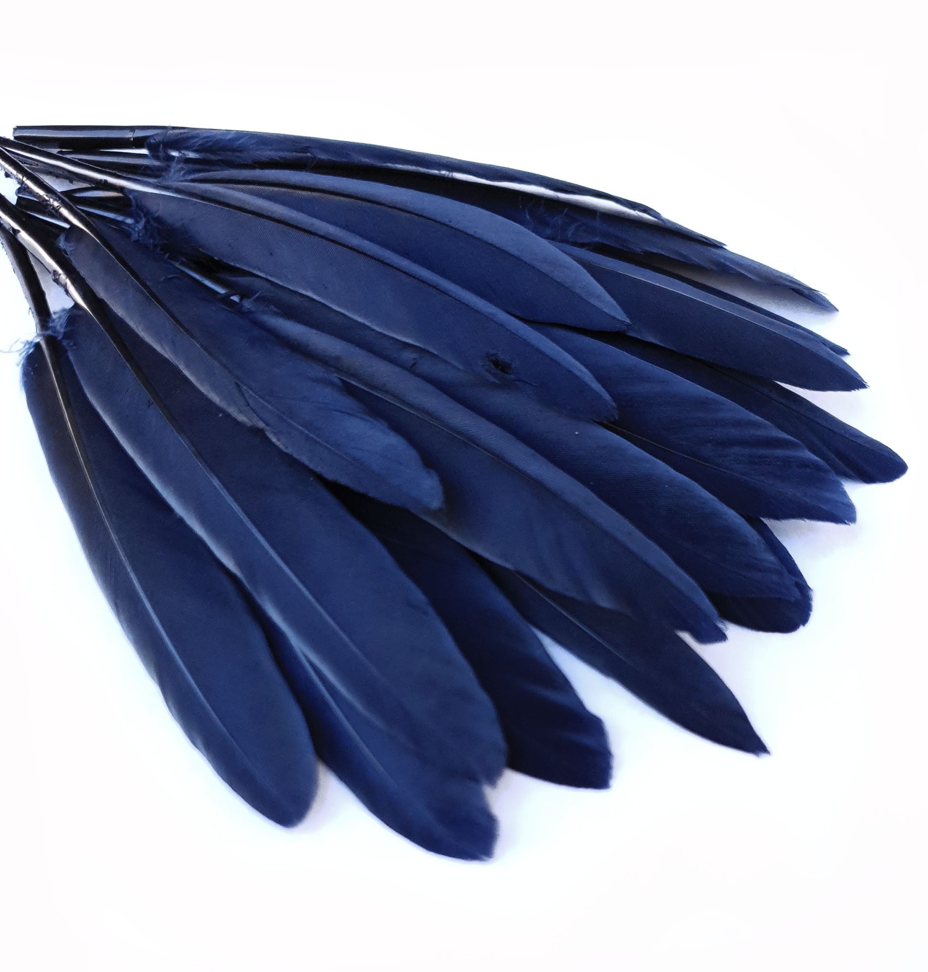 plume palette doie bleu fonce