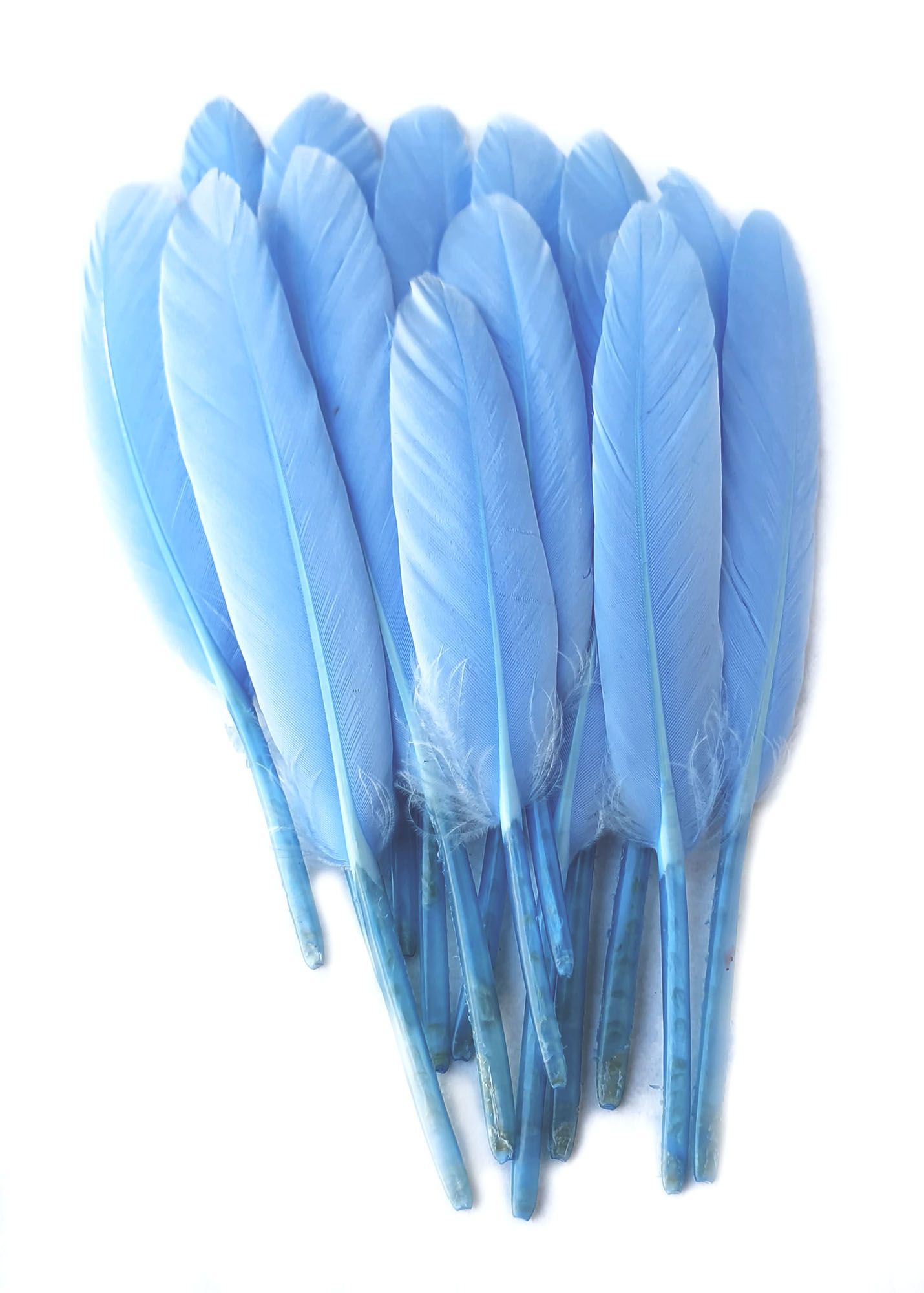 plume palette d\'oie - 8 grs - teintes bleu