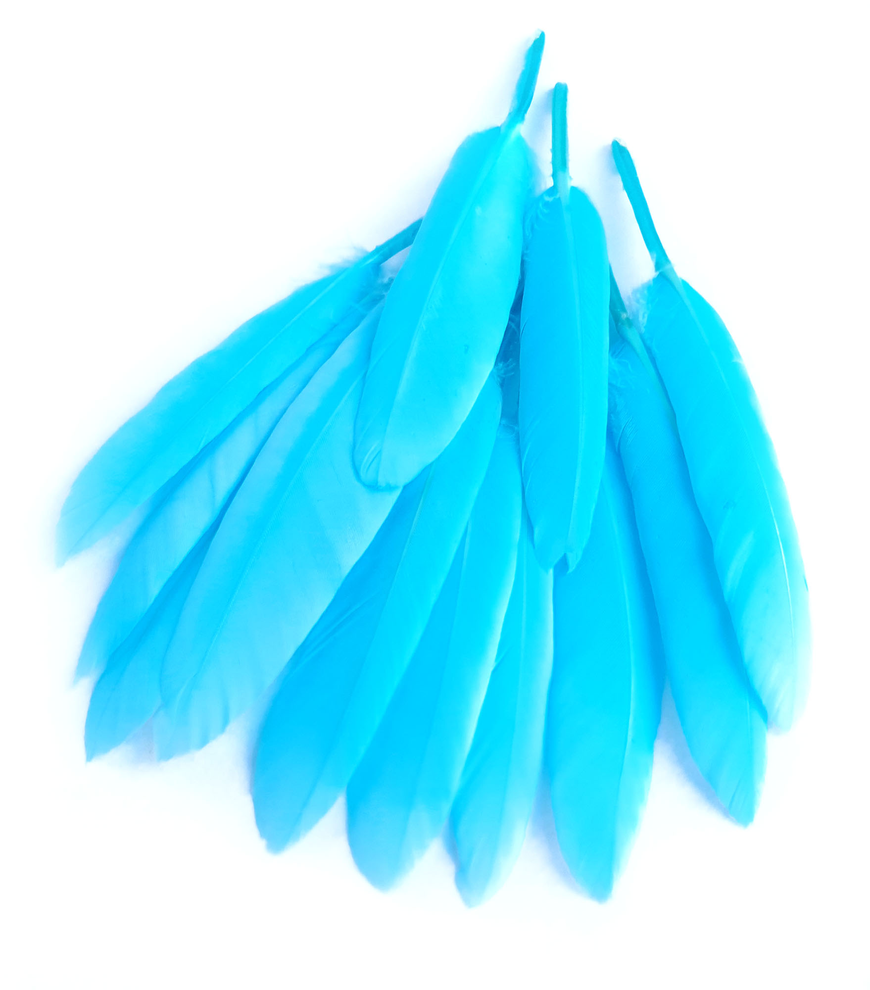 plume palette doie bleu lagon